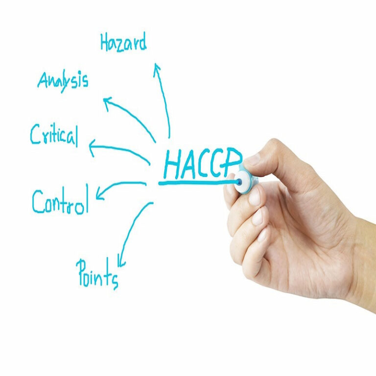 چطور پانل سردخانه‌ای مطابق HACCP انتخاب کنیم؟ (راهنمای تخصصی سردخانه‌های تهران)